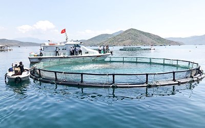 Quy định mới về mức thu tiền sử dụng các khu vực biển