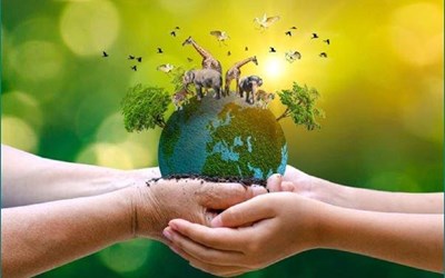 Hải Phòng tăng cường giải pháp bảo tồn động vật hoang dã nguy cấp, quý, hiếm: đồng bộ, hiệu quả, bền vững