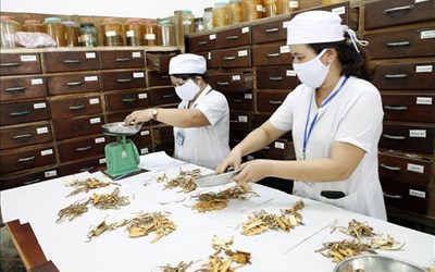 Phát triển nền y học cổ truyền Việt Nam trong giai đoạn mới
