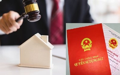 Tìm hiểu về đấu giá quyền sử dụng đất để thực hiện dự án đầu tư  và hình thức lựa chọn nhà đầu tư trong trường hợp đấu giá không thành