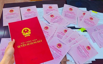 Các trường hợp không được sang tên quyền sử dụng đất