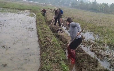 Chuyện cái máng nước chung